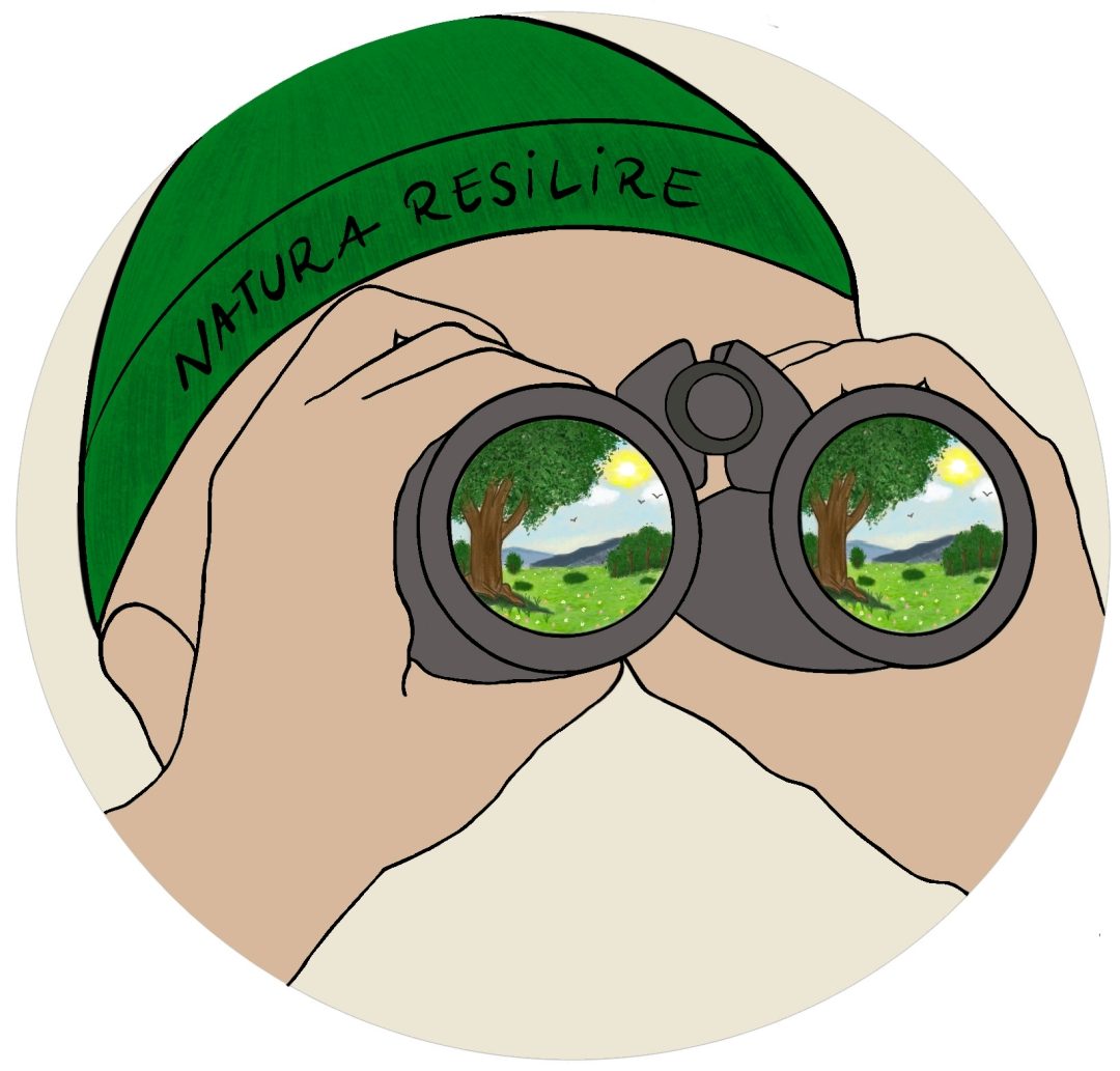 Natura resilire