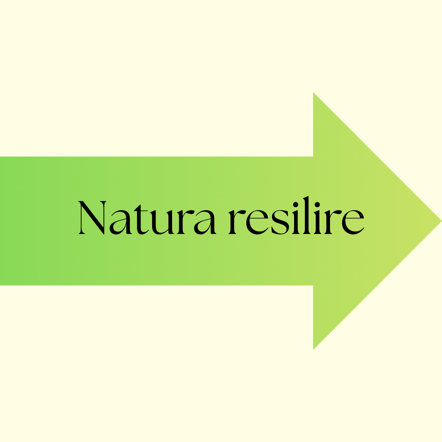 CHRONOLOGIE DE NOTRE&nbsp;PROJET