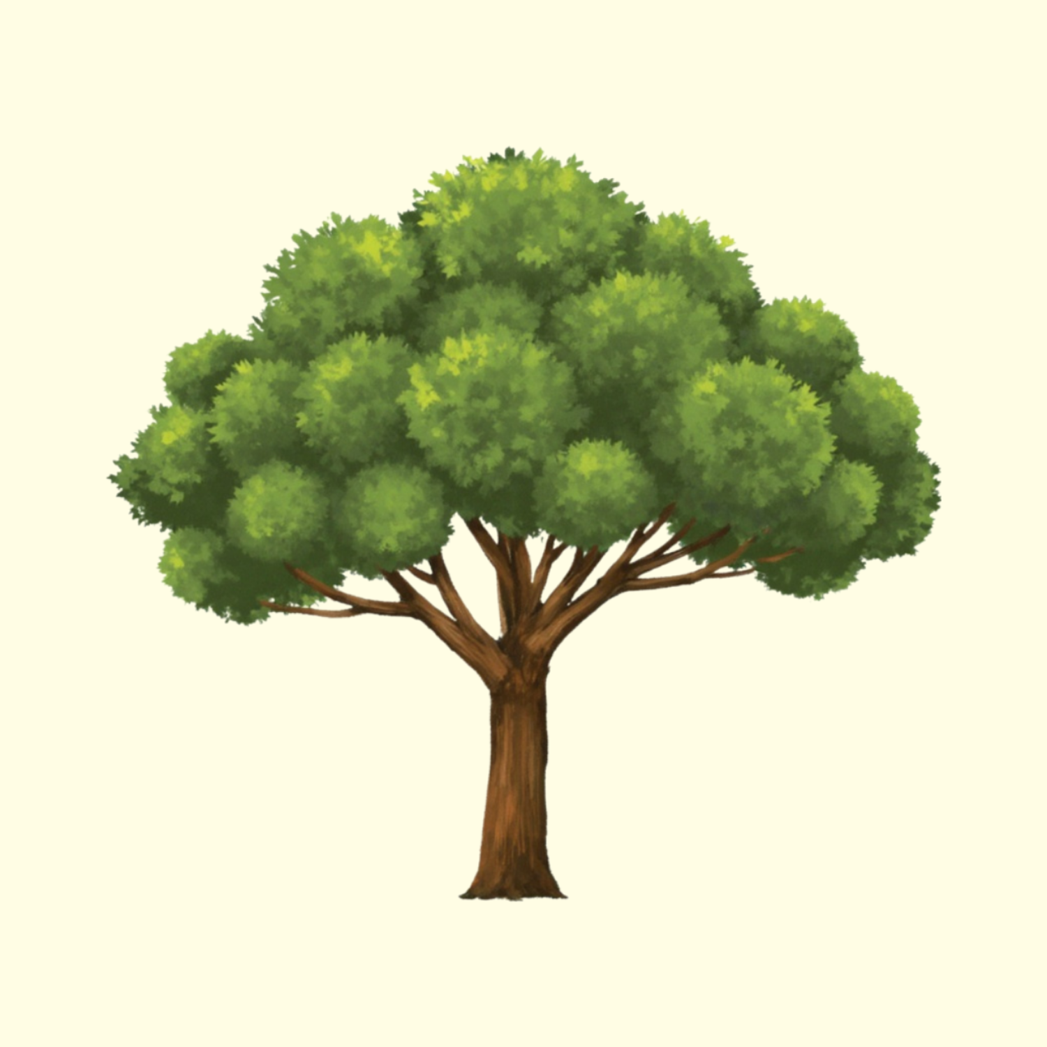 HISTOIRE DE LA CORDILLERA&nbsp;ESCALERA